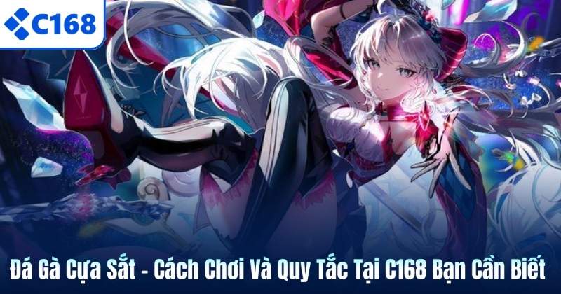 Đá Gà Cựa Sắt - Cách Chơi Và Quy Tắc Tại C168 Bạn Cần Biết